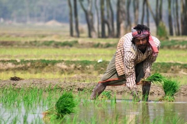 More rural households now ‘agricultural’: what data says, what this means