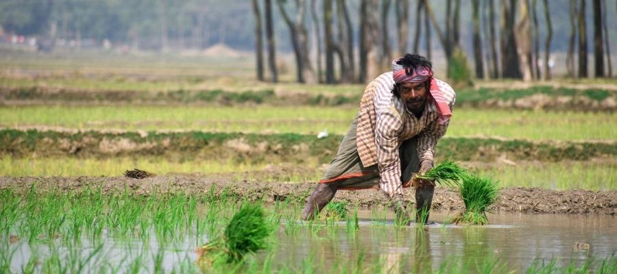 More rural households now ‘agricultural’: what data says, what this means